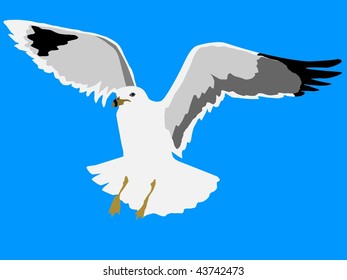 flying seagull