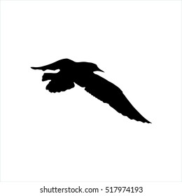 Flying Seagull Bird black silhouette isolated on white background.