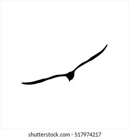 Flying Seagull Bird black silhouette isolated on white background.