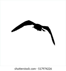Flying Seagull Bird black silhouette isolated on white background.