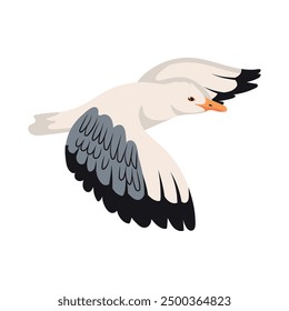 flying seagull bird cartoon isolated