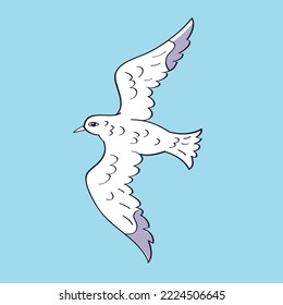 Flying seagull bird vector illustration