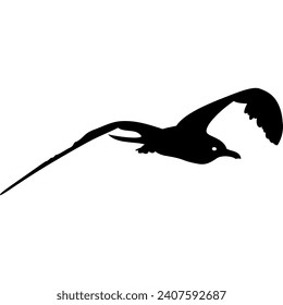 gaviota voladora de pájaro negro