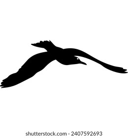 flying seagull in black, flying bird
