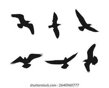 Flying Seagull black silhouette icon vector. Set of vector silhouettes of a seagull in flight, black color, isolated on a white background.