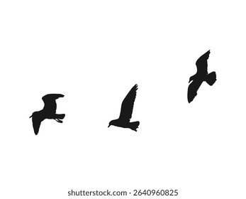 Flying Seagull black silhouette icon vector. Set of vector silhouettes of a seagull in flight, black color, isolated on a white background.