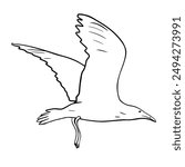 Flying seagull black and white vector illustration isolated. Single sea bird hand drawn ink silhouette. Simple bird contour. Herring gull in line art. Flight Marine bird in outline