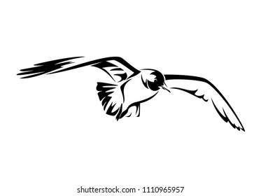 flying seagull black and white vector illustration
