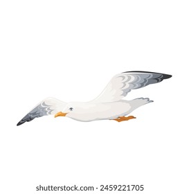 Flying seagull, cartoon sea and ocean bird. Free seaside flight of cute albatross with white and black wings, cartoon seagull soaring over sea waves and beach, symbol of freedom vector illustration