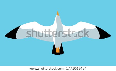Flying seagull. Close up of a gull in the sky. Abstract bird. Vector illustration.