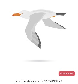 Flying seagull color flat icon