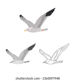 Flying seagull color, line and monochrome icon set vector concept