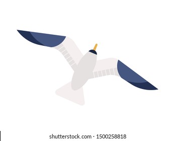 Flying seagull flat vector illustration. Gliding gull with spread wings minimalistic sign. Marine bird, nautical wildlife top view. Feathered animal, seabird, sea mew isolated on white background.