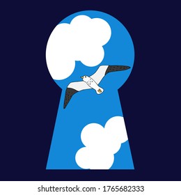 flying Seagull in the frame in the form of a keyhole