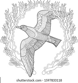 Flying seagull with high details. Adult antistress coloring page. Black white sea bird. Abstract pattern with oceanic elements for relax coloring for grown ups in zentangle style. Vector