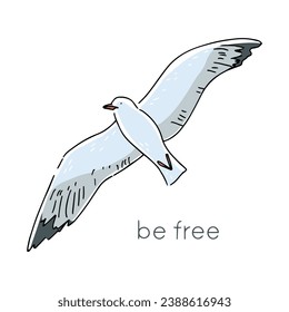 Gaviota voladora con la inscripción "ser libre". Impresión gráfica. Ilustración dibujada a mano por vectores.