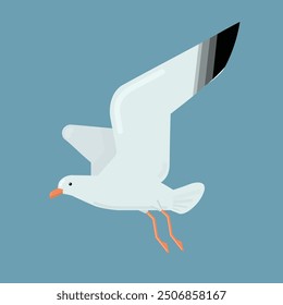 Flying seagull isolated on blue background. Vector illustration.