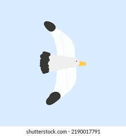  flying seagull  isolated on white background