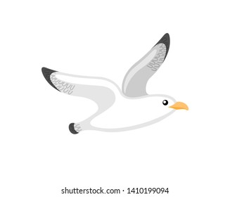 Flying seagull, little bird with black and white plumage. Single animal on white, cartoon of atlantic seabird, stylized nautical gull emblem vector