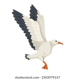 Flying seagull with open wings on white background. Vector illustration