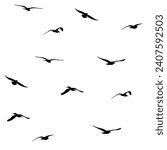 flying seagull seamless pattern in black