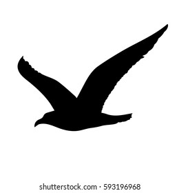 Flying seagull silhouette concept in monochrome style on white background isolated vector illustration