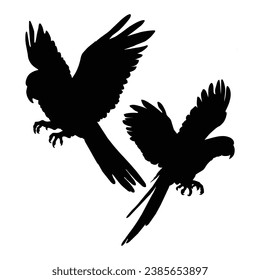 Flying Seagull Silhouette on White.