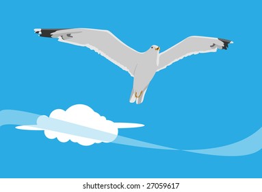 Flying seagull in the sky. Vector. Without mesh.