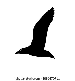 Vector de gaviota volador. Silueta de ave voladora negra