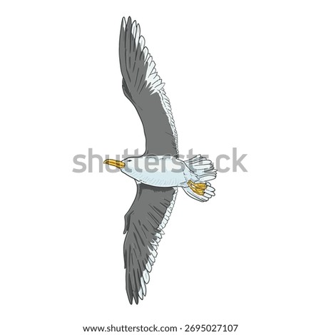 Flying Seagull Vector Cartoon Illustration
