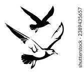 flying seagull vector design - black and white bird relistic outline and silhouette