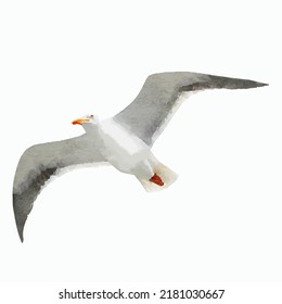 Flying seagull in watercolor style isolated on white background Vector illustration of sea ocean bird