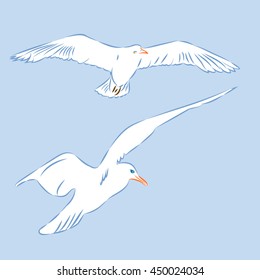 Flying Seagulls