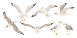 Flying Seagulls. Bird In Flight Isolated On A White Background.  Soaring Seabird. Vector Illustration In A Flat Style.