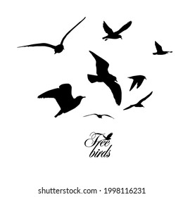 1,314 Seabird logo Images, Stock Photos & Vectors | Shutterstock