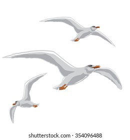 Flying seagulls isolated on white. Vector, illustration.