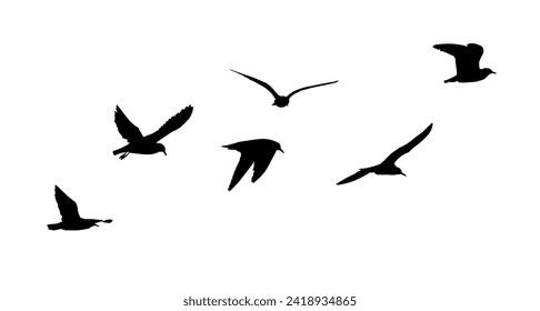 Silhouette de gaviotas voladoras. dibujo a mano. No IA, ilustración vectorial