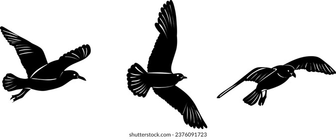 flying seagulls silhouette isolated vector