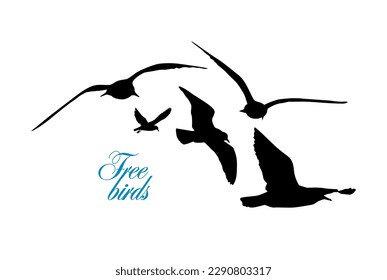 Flying seagulls silhouette. Vector illustration