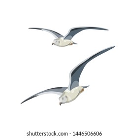 Flying seagulls. Vector illustration isolated on white background