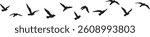  Flying Seagulls Vector Illustration  Minimal Bird Silhouettes for Ocean, Sky, and Nature Designs