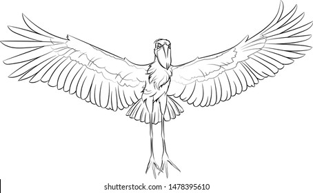 Flying shoebill. Line drawing. Vector illustration.