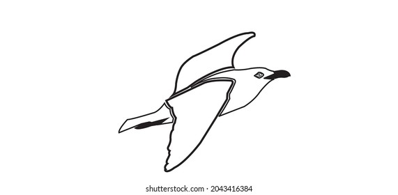 flying silhouette of a seagull. Vector illustration in monochrome style on a white background. Element for your design. The bird is black and white. European herring gull.
