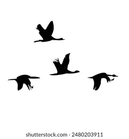 Silueta voladora Vector de aves EPS 10