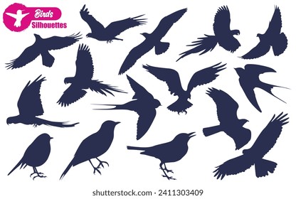 Flying and Sitting Bird Silhouettes vector