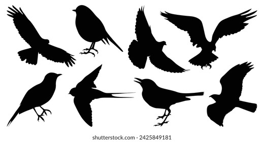 Flying and Sitting Bird Silhouettes vector