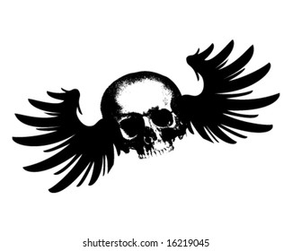 Flying Skull Vector Illustration