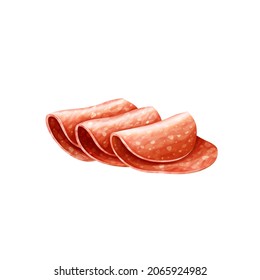 Flying slices of salami sausage isolated on white background. Meat delicatessen product. Vector gastronomic illustration in cartoon style