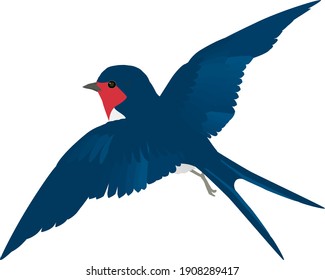 FlYing small wild bird, Swallow vector illustration