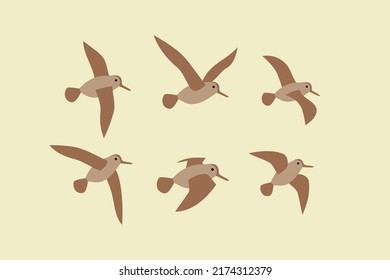 Flying snipe bird animals design icon vector modern illustration